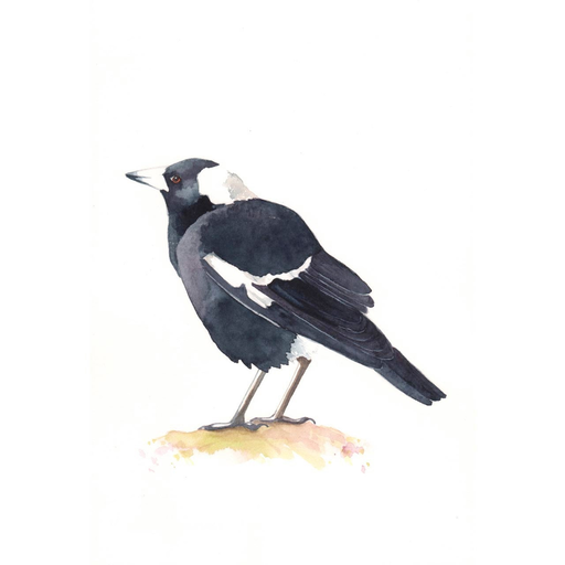 magpie logo